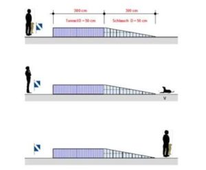 Schema Tunnel IPO-R DiscoveryDogs