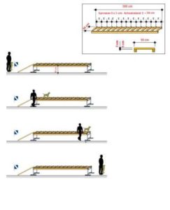 Schema passaggio su scala orizzontale IPO-R DiscoveryDogs