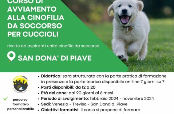 Corso di Avviamento al soccorso per cuccioli a San Donà di Piave