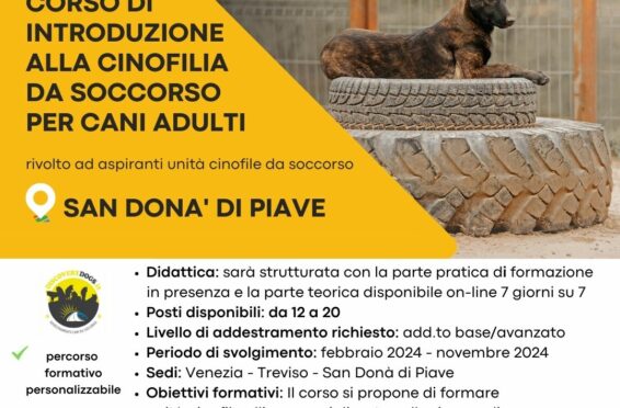 Corso di introduzione alla cinofilia da soccorso per cani adulti a San Donà di Piave